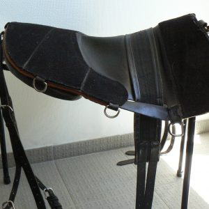 Selle Handi-cheval P1080602