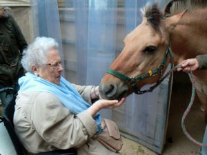 Une personne âgée prend soin d'un cheval